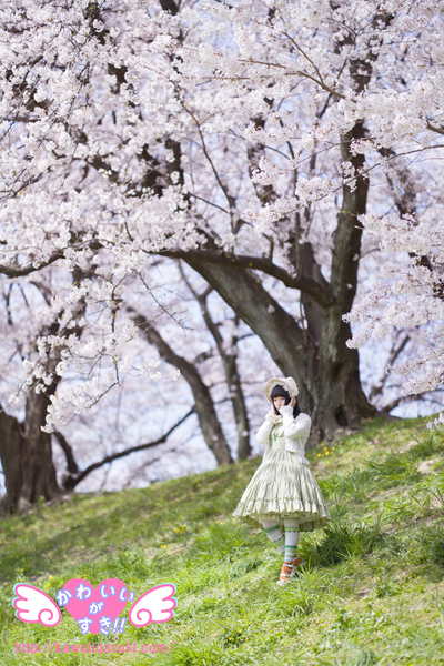 みんなでお花見