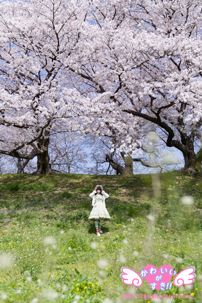 みんなでお花見