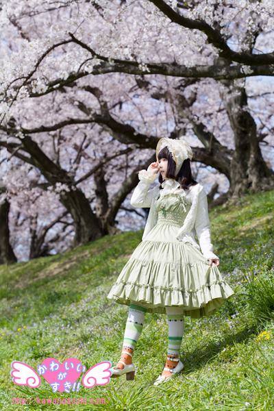 みんなでお花見