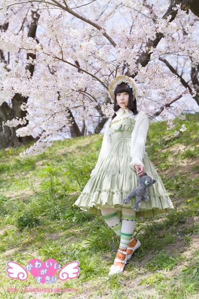みんなでお花見