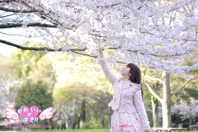 Sakura Pink