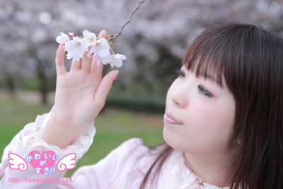 Sakura Pink